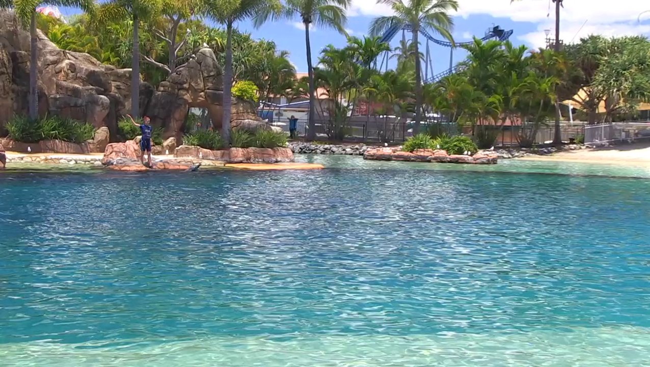 Sea World Resort on the Gold Coast