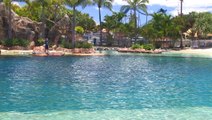 Sea World Resort on the Gold Coast