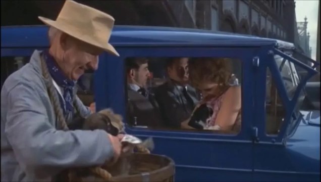 (1) oubliés vente chiot