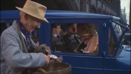 (1) oubliés vente chiot