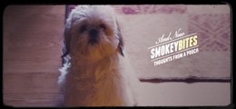 Smokey Bites: Thoughts From a Pooch