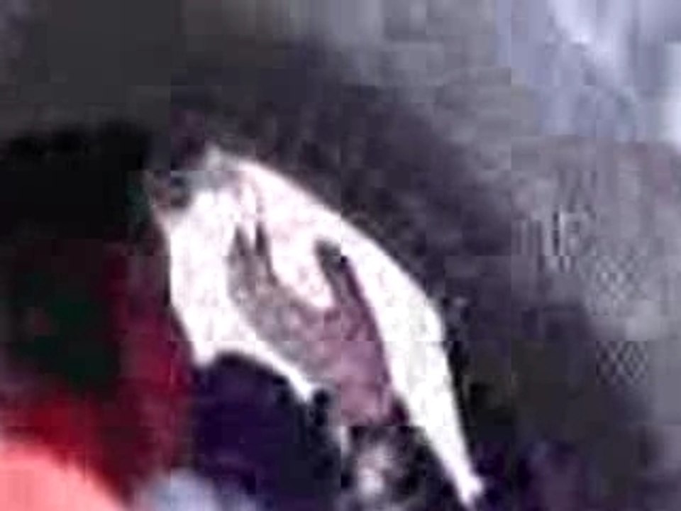 llanta