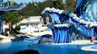 Dolphin and Beluga Whales Show called Blue Horizons at SeaWorld, Orlando, Florida on Dec 28 2011