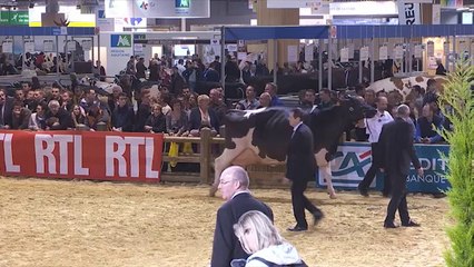 Championne Adulte - SIA 2014