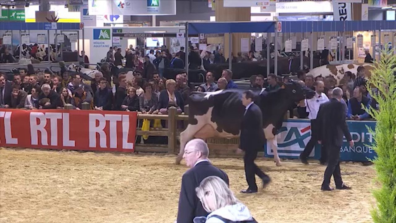 Championne Adulte - SIA 2014