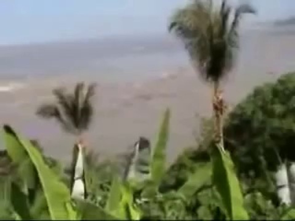 Tsunami