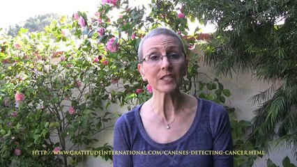 Canines Detecting Cancer by Kimberly Saavedra