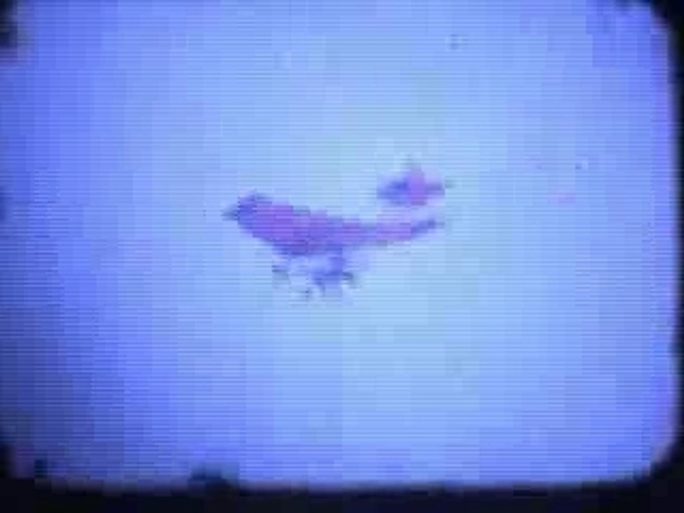 Les débuts de l'ULM a Persan Beaumont