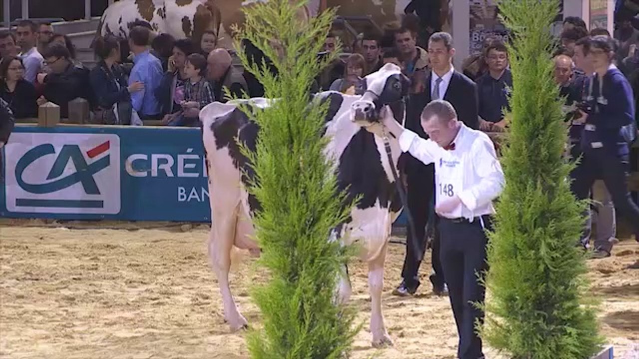 Grande Championne - SIA 2014