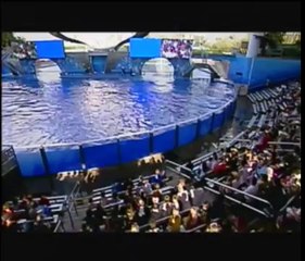seaworld orlando believe full show DVD version