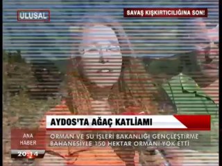 AYDOS'TA AĞAÇ KATLİAMI