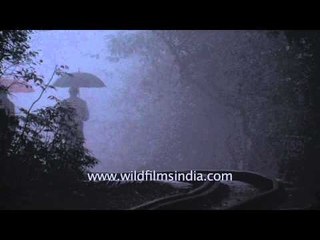Couple walking on railway tracks at Matheran