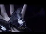 [MV] alice nine - Velvet