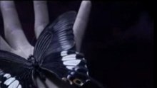 [MV] alice nine - Velvet