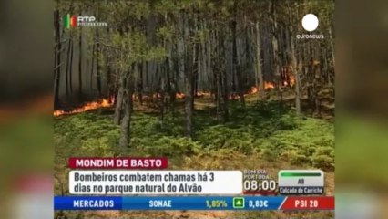 Incendi in Portogallo: muore una giovane donna pompiere