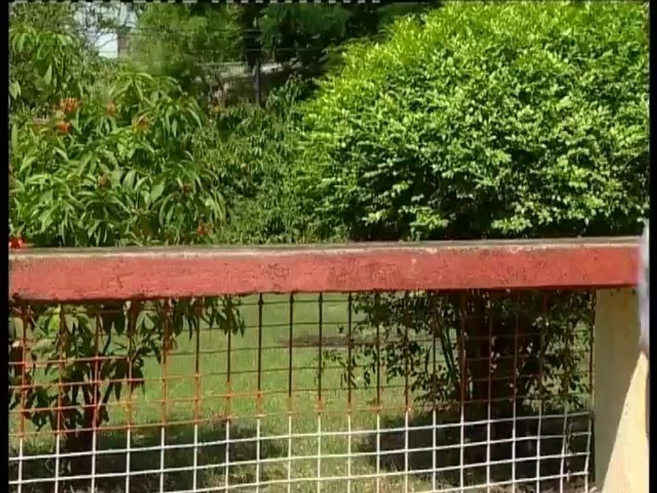 Natuni Lo Natuni Part -1