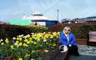 Trenargentado California San Francisco