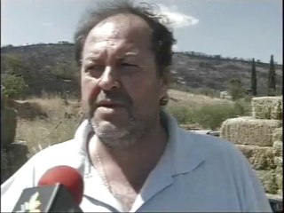 Ζωοτροφές για τους κτηνοτρόφους της Βοιωτίας