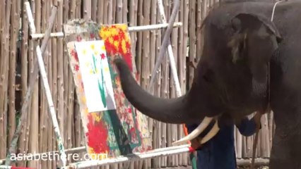 Hua Hin Safari Park Elephant Show, Part IV