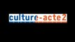 Mission culture-acte2 | audition de l'ALPA - Association de Lutte contre la Piraterie Audiovisuelle