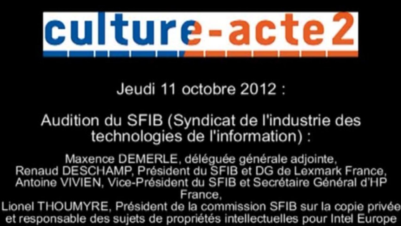 Mission culture-acte2 | audition du SFIB - Syndicat de l'industrie des technologies de l'information