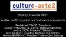 Mission culture-acte2 | audition du SPI - Syndicat des Producteurs Indépendants [audio]