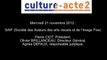 Mission culture-acte2 | SAIF (Société des Auteurs des arts visuels et de l’Image Fixe) [audio]