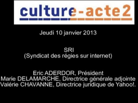 Mission Culture-acte2 | Audition de SRI (Syndicat des régies sur internet) [audio]