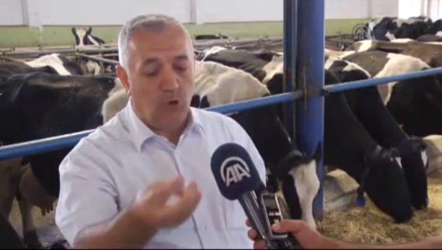 Bu cips hayvanlar için