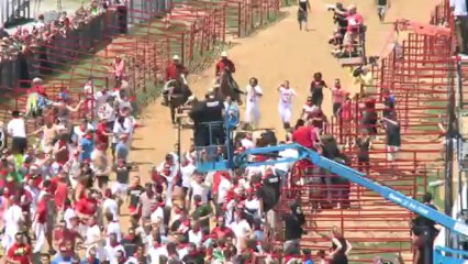 Lâcher de taureaux à l'américaine