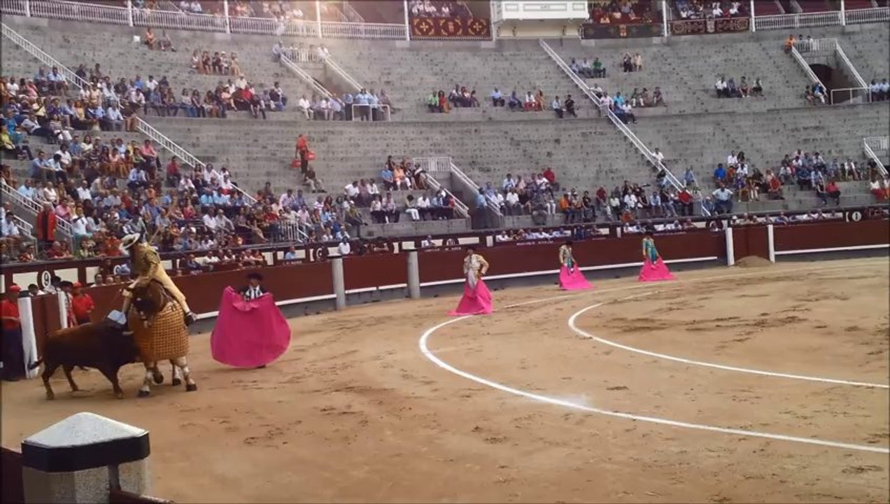 Corrida Madrid - Malicia Darkwave