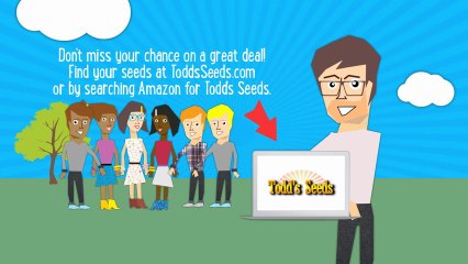 Todd's Seeds Explainer