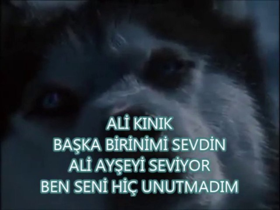 ALİ KINIK - ÜÇ ESERİ