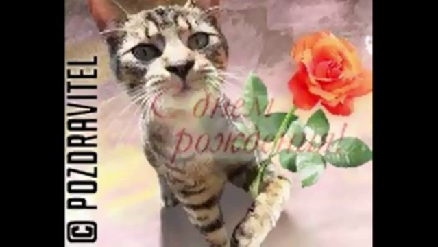 С днём рождения!