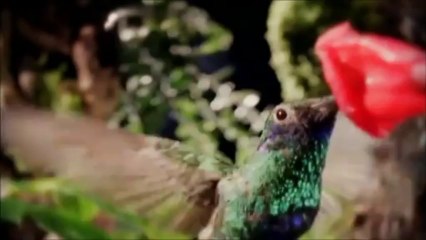 Human Design-Just A Little Bit...