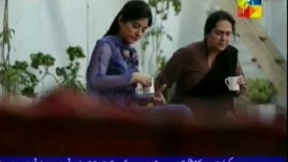 Kankar Episode 13 By HUM TV