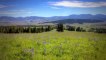 Little Valley Ranch - Montana Ranches for Sale