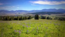 Little Valley Ranch - Montana Ranches for Sale