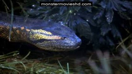 Anaconda (1997) full movie part 1