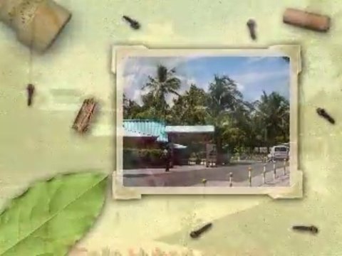 Riu Bambu Punta Cana RIU Clubhotel Dom. Rep. Cluburlaub RIU Hotels