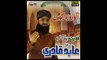 Jaa Kar Koi Taiba Mai Latest Ramzan Album 2013 By  Hafiz Abid Qadri