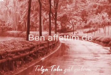 Tolga Tabu - gül gülüm