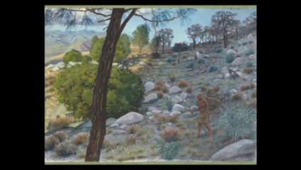 Fighting With Wildfire: California's Flammable Ecology