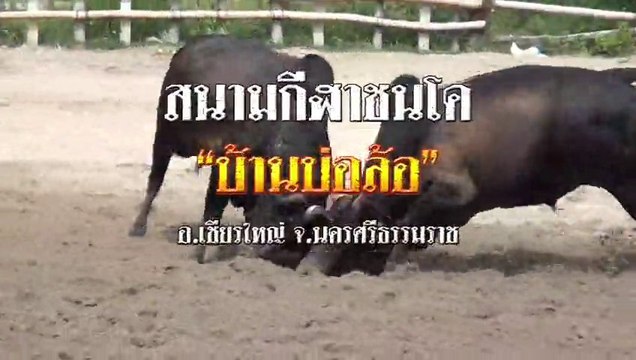 ประชาสัมพันธ์ ชนโค สนามบ่อล้อ วันที่ 5 7 8 กันยายน 2556