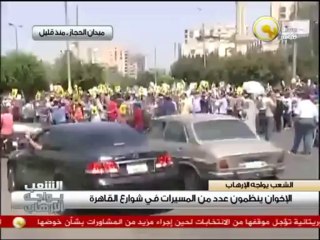 علاقة المشهد السياسي المصري بتطورات الأوضاع السورية