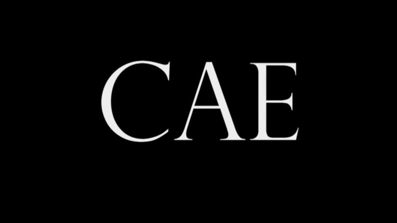 CAE_mpg2