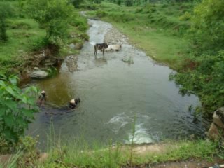 Village Swabi Mera, Tanawal, Haripur Hazara
