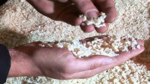 Aktie im Fokus: Lanxess will Ärmel aufkrempeln - Kurs steigt