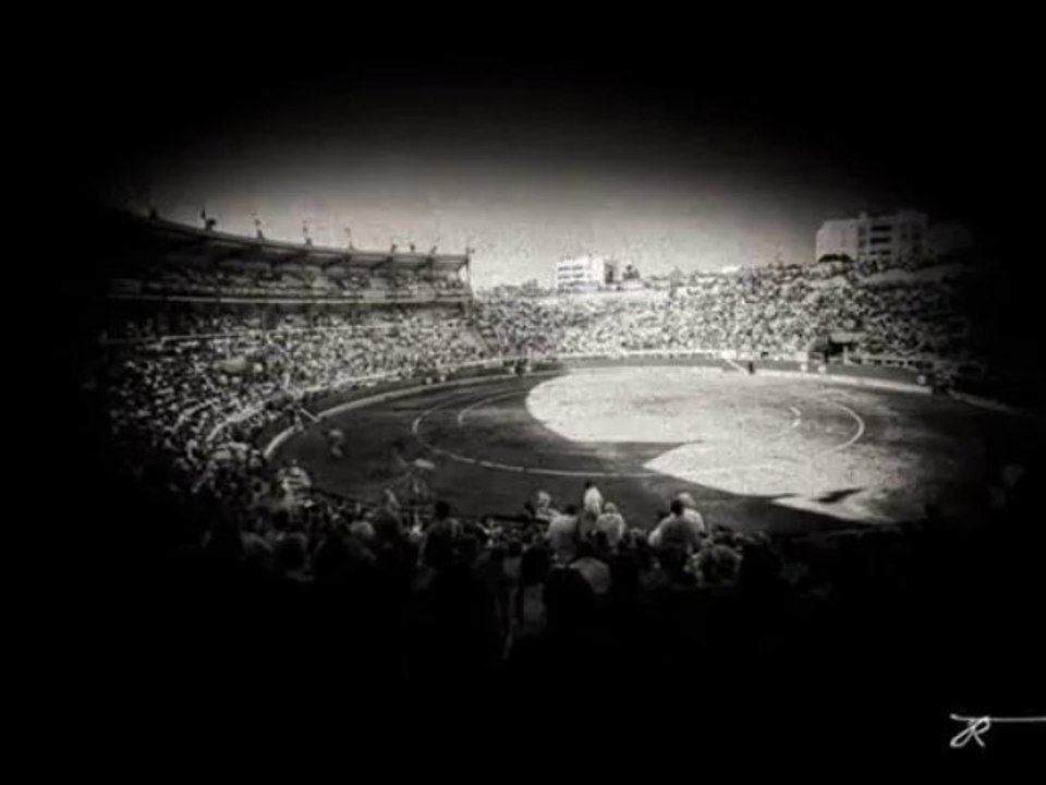 the last matador of bayonne cover