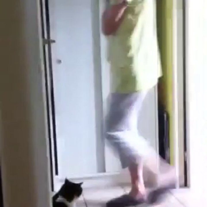 Chat- loup et sa sœur